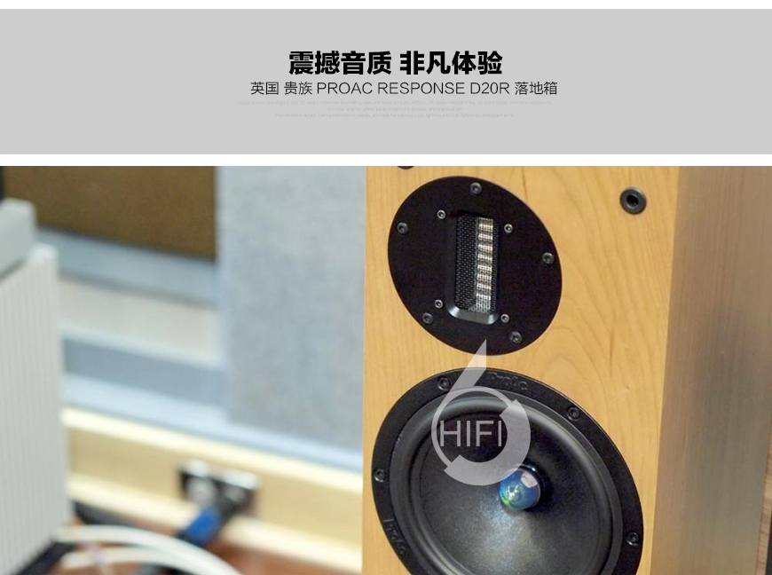 貴族D20R,Proac Response D20R,貴族落地箱