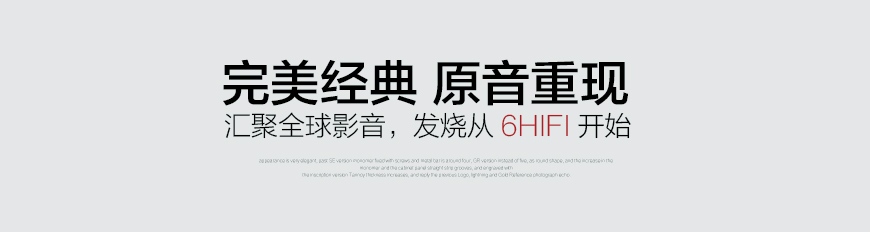 柏林之聲101,Burmester 101,柏林之聲合并功放