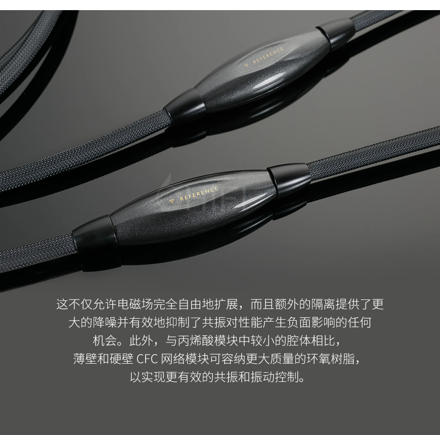 美國 Transparent 天仙配 Balanced Reference RBL G6 平衡信號線