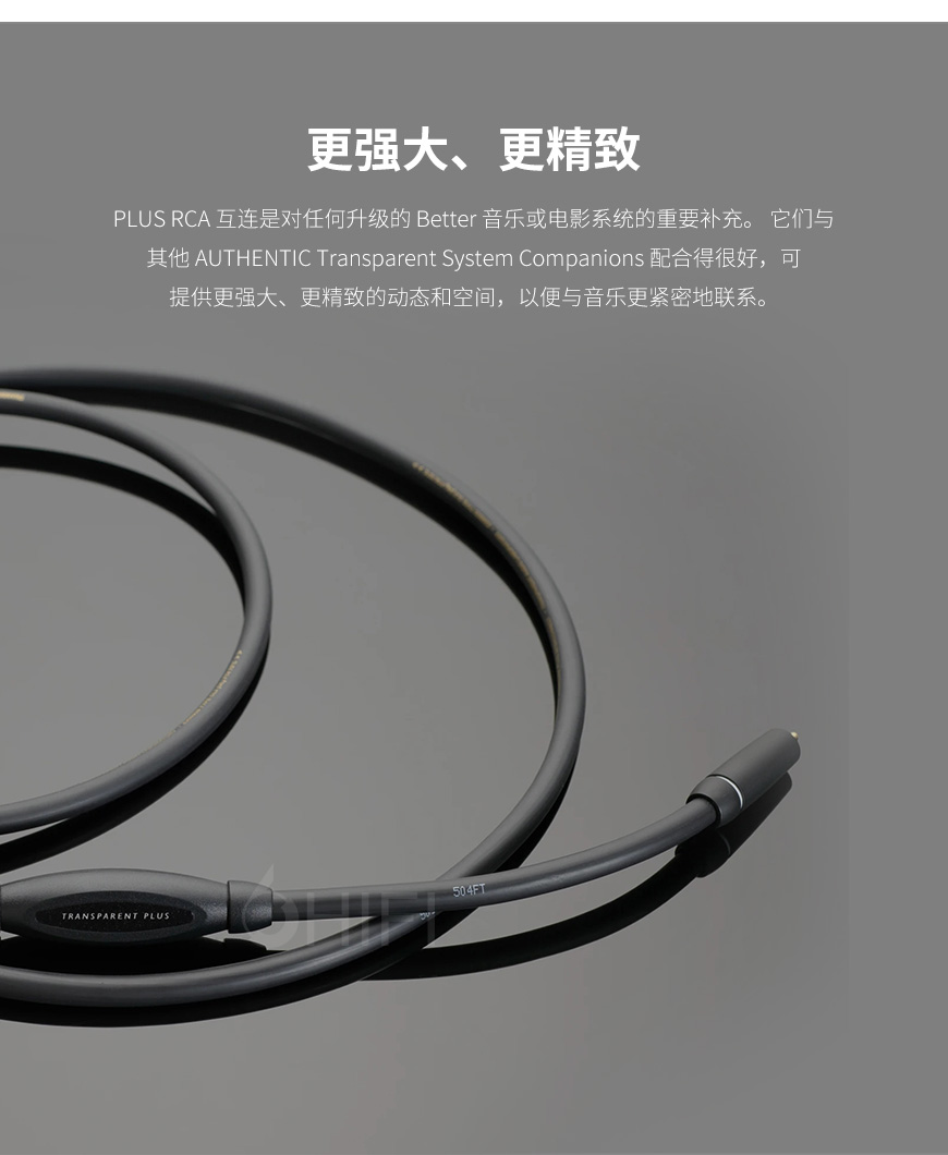 美國 Transparent 天仙配 PLUS RCA PSE G6信號線