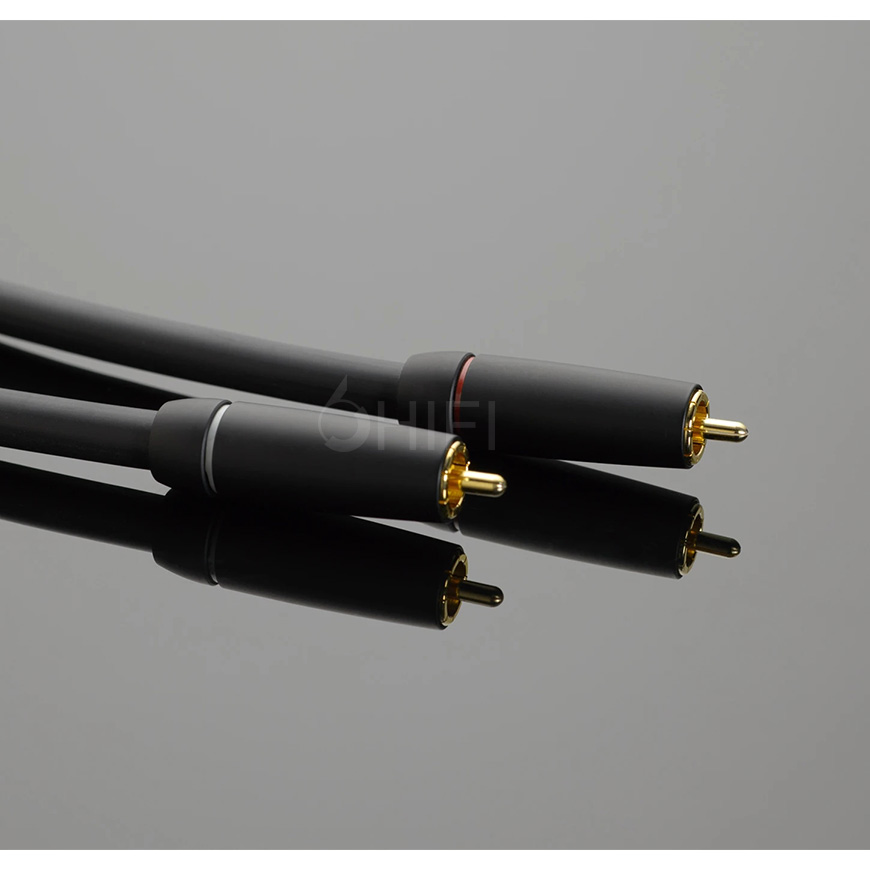 美國 Transparent 天仙配 PLUS RCA PSE G6信號線