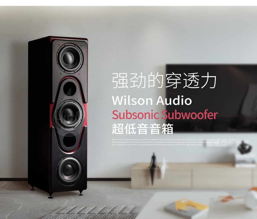 美國,Wilson Audio 威信,Wilson Audio,威信,Subsonic Subwoofer,超低音音箱,超低音,音箱,低音炮