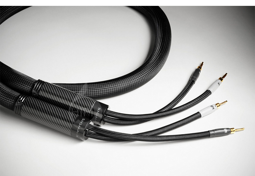 美國 蛇皇,Shunyata Retail,線材